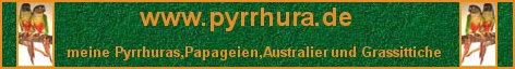 www.pyrrhura.de